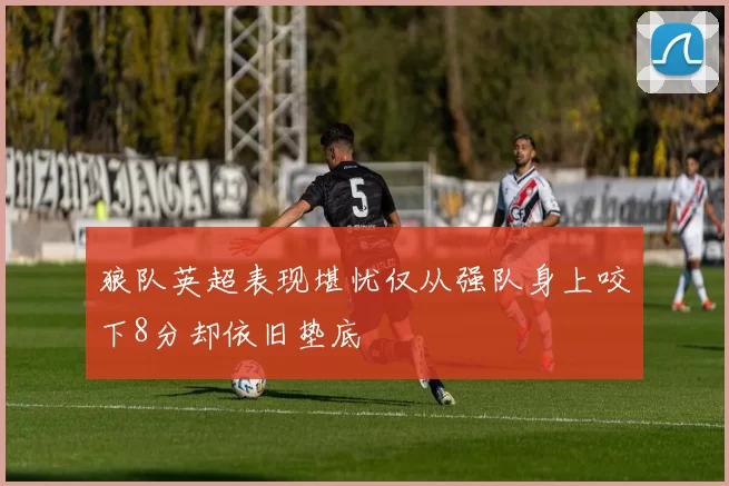 狼队英超表现堪忧仅从强队身上咬下8分却依旧垫底