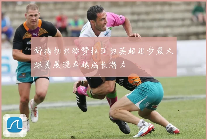 舒梅切尔称赞拉亚为英超进步最大球员展现卓越成长潜力